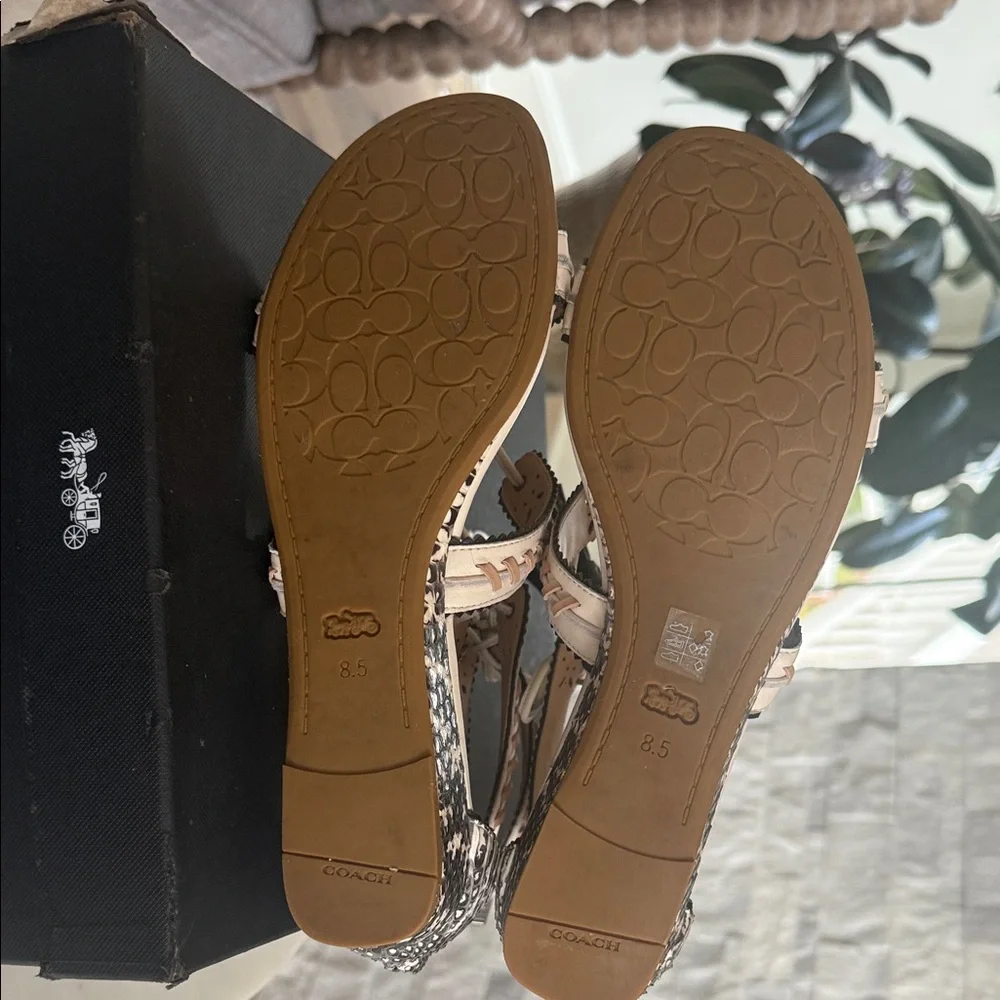 Coach Tan and Black Gladiator Sandals - Picture 5 of 5